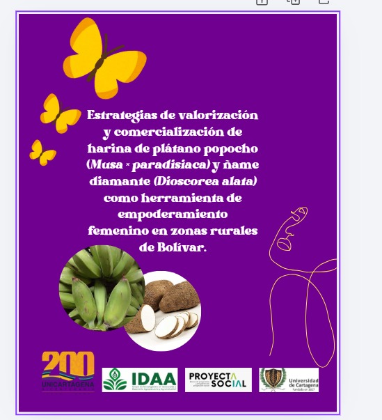 Estrategias de valorización y comercialización de harina de plátano popocho (Musa × paradisiaca) y ñame diamante (Dioscorea alata) como herramienta de empoderamiento femenino en zonas rurales de Bolívar